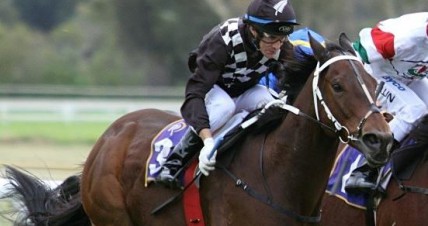 Belmont Video Preview 3rd September